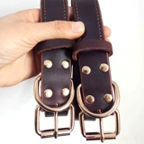 Темплохимическое кольцо собака средняя маленькая большая большая собачья кружковая шея кружок Педань Собаки Собаки, Золотые волосы на шейке