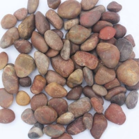 Светлый красный 2-4