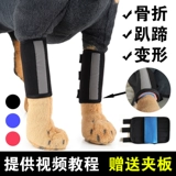 Платные собаки и перелома кошки фанерная передняя часть, заполняющая нога, защитный комплект, ремешок для восстановления, ремешок с фиксированной коррекцией Защитное снаряжение