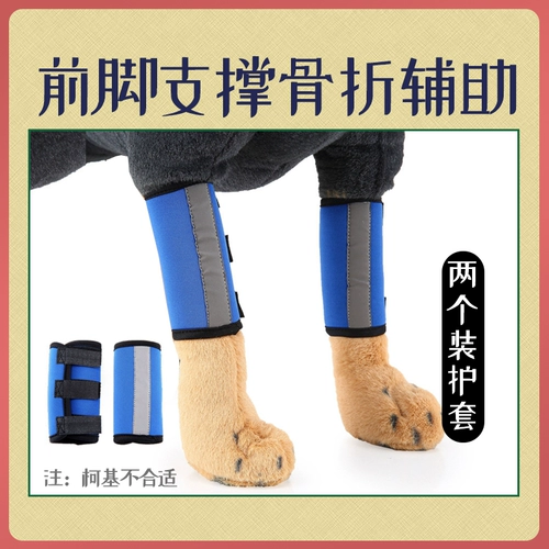 Платные собаки и перелома кошки фанерная передняя часть, заполняющая нога, защитный комплект, ремешок для восстановления, ремешок с фиксированной коррекцией Защитное снаряжение
