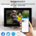 Khung ảnh đám mây 10 inch WiFi album ảnh điện tử kỹ thuật số HD Android màn hình cảm ứng trình phát video ảnh gia đình