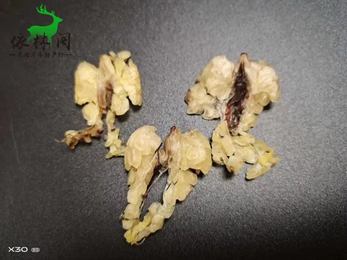 Бесплатная доставка 10 грамм снежного моллюска