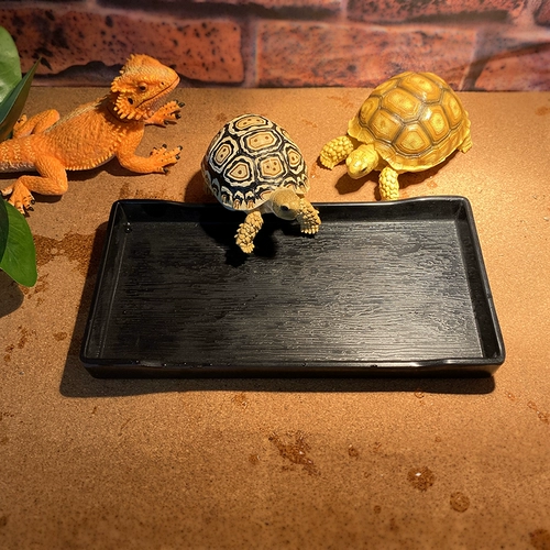 Маленькая черепаха пищевая диск имитация деревянная зерно пищевая тарелка пластиковая пищевая тарелка поднимается домашние животные, пить блюдо из блюда