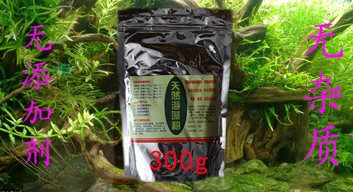 Pet Puppies, Порошок морских водорослей Teddy Mao Mao Mao Mao Mao Mao Dog, Black Nose, Golden Merk Samoyed Lecithithin 300G