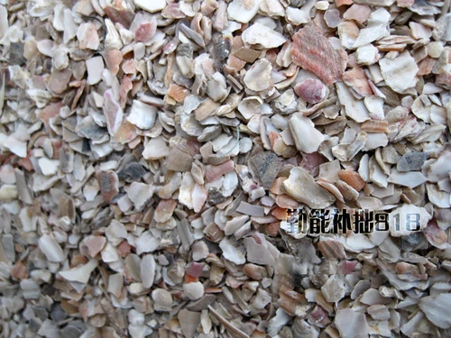 Мыть раковина порошка курицы для предотвращения мягких яичных животных, курицы, утки, гуся, птичьих голубей, 500 граммов кальция