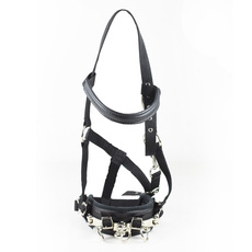 Недоуздок 专业马匹调教笼头驯马调教龙头训练马笼头马匹装备八尺龙马具