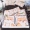 Bộ rung từ âm thanh không phổ biến bộ bốn bộ 1.2 1.8 ký túc xá sinh viên chà nhám vẽ tay Shiba Inu Kit hoạt hình - Bộ đồ giường bốn mảnh