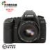 Được sử dụng Canon 5D Mark II 5D2 cô gái bất khả chiến bại thỏ chuyên nghiệp full-frame HD máy ảnh kỹ thuật số SLR SLR kỹ thuật số chuyên nghiệp