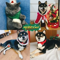 Плащ, зимний шарф, красное ювелирное украшение