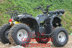 Quốc gia ATV Bull Bull ATV 125cc bốn bánh xe gắn máy bị vô hiệu hóa đặc biệt xe thể thao xe Xe đạp quad