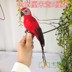 25-35CM Vẹt Macaw Cửa sổ Làm vườn Trang trí Chim Bọt Lông Vẹt Trang trí nhà - Trang trí nội thất trang trí nhà ngày tết Trang trí nội thất