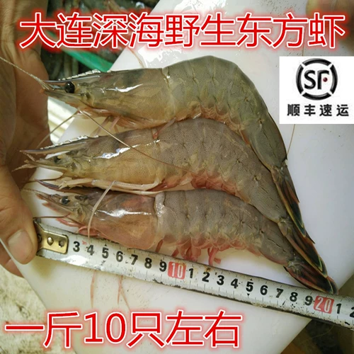 Далянические хюанхайские морские креветки