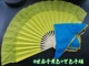 8 -INCH FAN+LAN SHONGJUAN