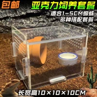 10 см маленькая ящик для разведения домашних животных yayli reptile box spider 蜈 ящик для размножения
