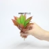 Cây nhân tạo mọng nước phụ kiện tự làm hoa cắm hoa vật liệu hoa nhân tạo nhựa nhân tạo - Hoa nhân tạo / Cây / Trái cây hoa đào giả Hoa nhân tạo / Cây / Trái cây