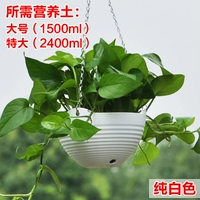 Pure White (Pot+Net+Chain+Plug)