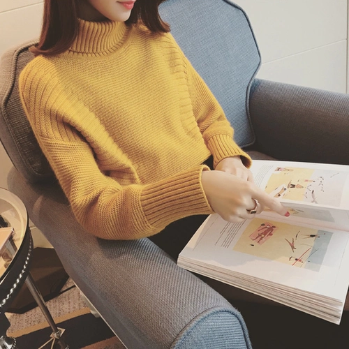 Демисезонный модный короткий свитер, лонгслив, цветной трикотажный шарф, в корейском стиле