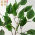Lá nhựa mô phỏng lá trang trí hoa nhựa cây giả dải cây xanh cây nho xanh trong nhà treo trang trí - Hoa nhân tạo / Cây / Trái cây Hoa nhân tạo / Cây / Trái cây