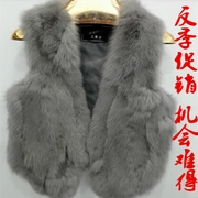 Haining Hàn Quốc phiên bản mới mùa thu và mùa đông lông thỏ da lông vest nữ áo ngắn vest Slim giải phóng mặt bằng đặc biệt