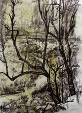 Контурный рисунок 中央美院 优秀学生作品 素描 风景写生