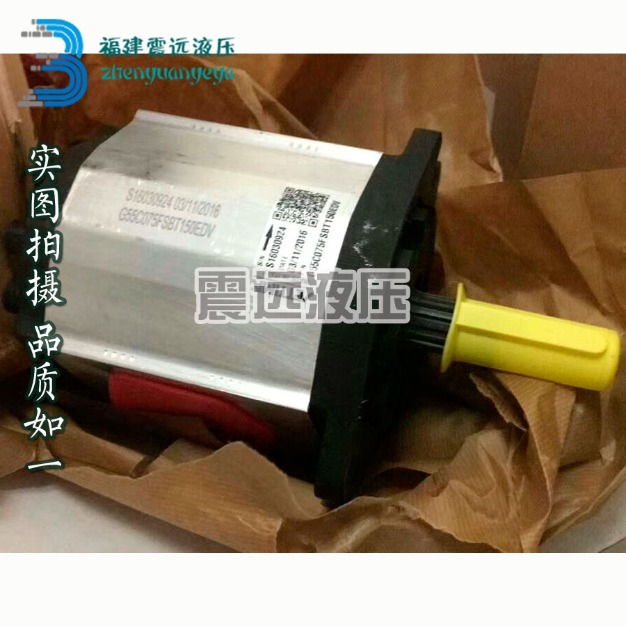 Original Italy Settima screw pump injection oil pressure oil pump G55C063FSBA