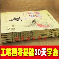 Гонгби живопись белый рисунок нижний черновик учебник из пиони птицы и птичья лотос цветочные цветочные расцветы хризантем рыба рыба китайская живопись белая рисунок дно