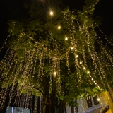 Рождественская светодиодная лампочка, украшение для беседки, уличное водонепроницаемое вечернее платье