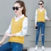 Áo hai dây giả nữ tay dài 2019 xuân hè mới phiên bản Hàn Quốc của quần áo thêu áo thời trang khí chất - Áo sơ mi dài tay áo sơ mi nữ kiểu Áo sơ mi dài tay