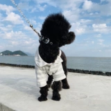 Собачья одежда пижам пижамы плюшевые бишон -бишон боевой щенок маленький собака лето кот весна лето осень Осень чистый хлопок тонкий стиль