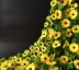 Mô phỏng Mặt trời Hoa hướng dương 80 Hoa Vine Hoa giả Điều hòa nhiệt độ Chặn ống nhựa Hoa trang trí nhà mây - Hoa nhân tạo / Cây / Trái cây các loại lan giả hạc Hoa nhân tạo / Cây / Trái cây
