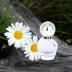 Nước hoa Dreamland Daisy Nước hoa Lady Lasting Light Frag thơm Fresh Spray Flower Fruit Eau de Toilette - Nước hoa