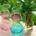 Cung cấp làm vườn bình thủy tinh Hyacinth thủy tinh chai thủy tinh xanh lục bình lục bình đặc biệt loại thủy tinh dày - Vase / Bồn hoa & Kệ