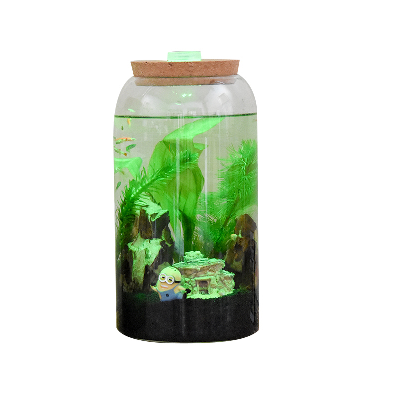 Creative Ecological Bottle Micro Landscape Aquarium Landscaping