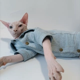 Рубашка для пиджаки для домашних кошек -Шаблон одежды для одежды, безволосой кошка, версия для кошачьего кошачьего кота с швейным видео