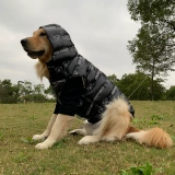 Куртка, шаблон, жилет, 14 года, размер, домашний питомец, подходит для подростков