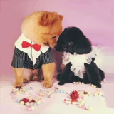 Трехмерное свадебное платье, наряд маленькой принцессы, в цветочек