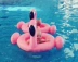 Flamingo trẻ em bơi vòng dày bé ghế bé con inflatable ghế cậu bé cô gái 1-3-6 tuổi