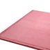 Mầm non dày thảm bé ngủ bò mat tatami mat phòng khách dày mat kang giường mat thả sức đề kháng - Thảm sàn Thảm sàn