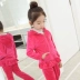Bộ đồ bé gái thể thao mùa đông 2019 mới thời trang Hàn Quốc trẻ em áo len nhung vàng dày gas ngoại quốc hai mảnh quần chục cho bé Phù hợp với trẻ em