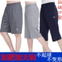 Trung niên quần short nam cộng với phân bón XL đàn hồi lỏng mùa hè phần mỏng 5 điểm quần dệt kim cotton bảy điểm quần bó sát short nam