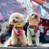 Специальное предложение очистка японская одежда для домашних животных летняя холодная одежда собака и кошачья универсальная маленькая и средняя собака быстро сухая ночная одежда