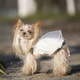 Японское летнее средство от комаров, наряд маленькой принцессы, универсальная юбка