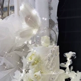 Чистая красная перья крылышки бабочки