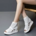 Giày cá miệng muffin nữ 2020 mùa hè mới hoang dã giày cut-in tăng chiều cao roman nêm gót dép sandal - Sandal Sandal