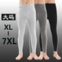 Của nam giới cộng với phân bón XL quần phần mỏng cotton ấm quần mảnh duy nhất quần màu rắn stretch cao eo xà cạp quần giữ nhiệt đá bóng