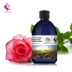 Xi Di Jin Damascus Rose Pure Dew 500ml Nước hoa hồng dưỡng ẩm chính hãng tự nhiên - Tinh dầu điều trị tinh dầu hoa oải hương Tinh dầu điều trị