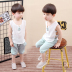 Chàng trai mùa hè phù hợp với trẻ em của Trung Quốc phong cách cotton và linen vest phù hợp với trẻ em không tay hai mảnh đặt 0-1-2-4 tuổi Phù hợp với trẻ em