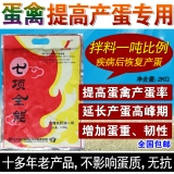 Яичные звери, птица семь всех цыплят, яйца, яйца, яйца -птицы для яиц и яиц, птица, птицеводная птица, лунный ветеринарный фармацевтический магазин