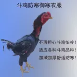 Борьба с куриной продукцией, борьба с курицей, борьба с курицей борьба с курицей курица Королевская одежда Thai Thaif