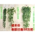Treo tường hoa nhân tạo phòng khách ban công trang trí nội thất trang nhã cây xanh nhựa cây lá treo hoa giả mây - Hoa nhân tạo / Cây / Trái cây cây xương rồng giả Hoa nhân tạo / Cây / Trái cây